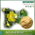 Uncaria tomentosa herbal extract powder cat's claw extract